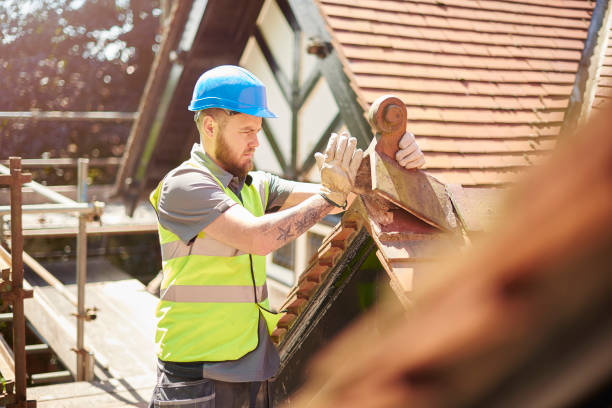 Best Storm Damage Roof Repair  in Antwerp, OH