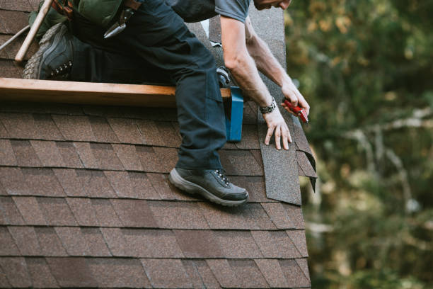 Best Roof Gutter Cleaning  in Antwerp, OH
